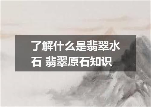 了解什么是翡翠水石 翡翠原石知识