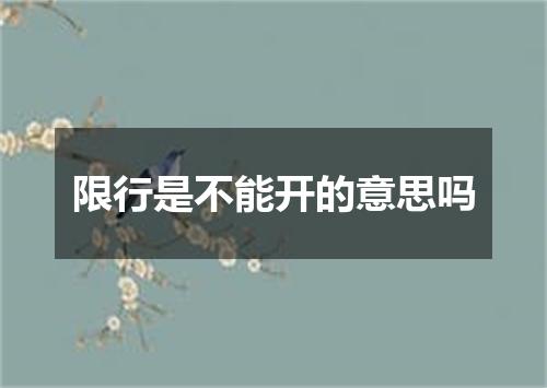 限行是不能开的意思吗