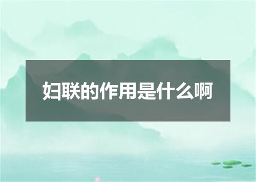妇联的作用是什么啊