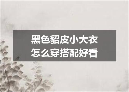 黑色貂皮小大衣怎么穿搭配好看