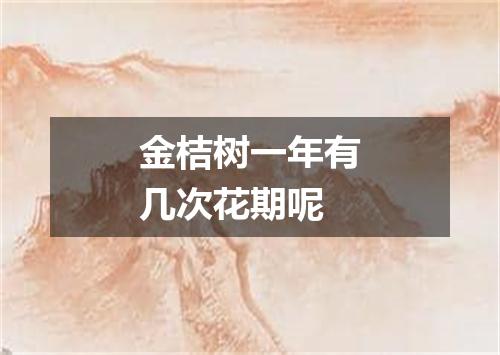 金桔树一年有几次花期呢