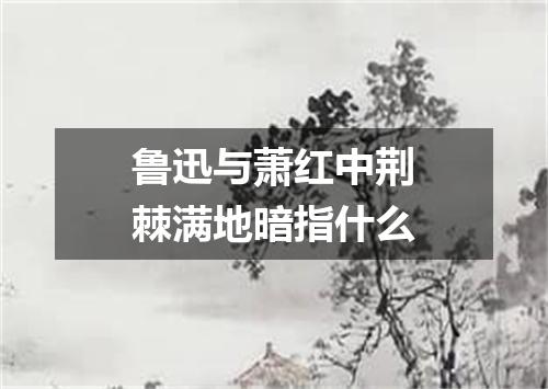 鲁迅与萧红中荆棘满地暗指什么