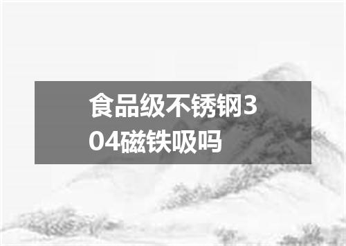 食品级不锈钢304磁铁吸吗