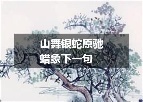 山舞银蛇原驰蜡象下一句
