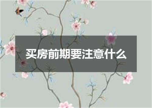 买房前期要注意什么
