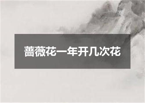 蔷薇花一年开几次花