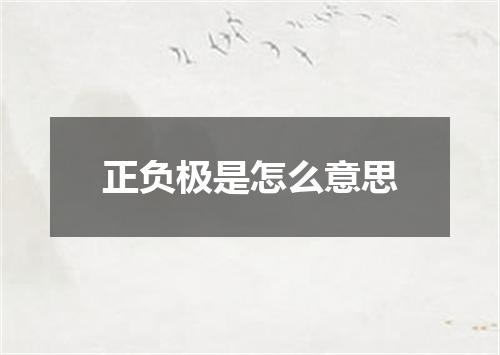 正负极是怎么意思