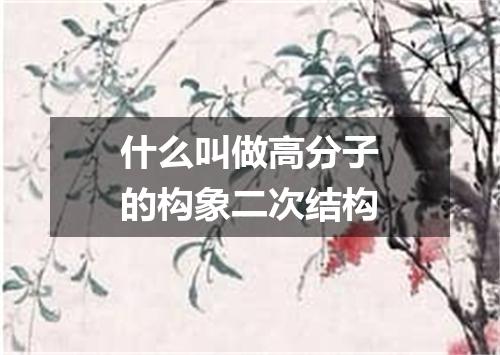 什么叫做高分子的构象二次结构