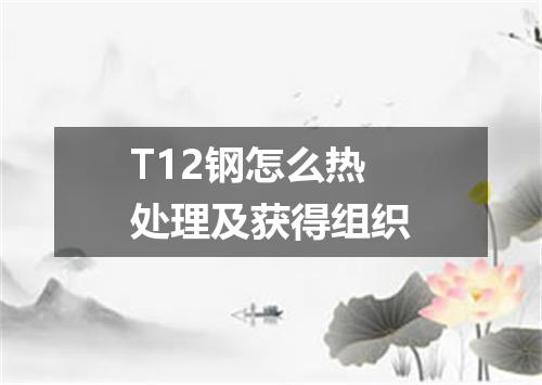 T12钢怎么热处理及获得组织