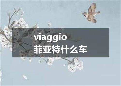 viaggio菲亚特什么车