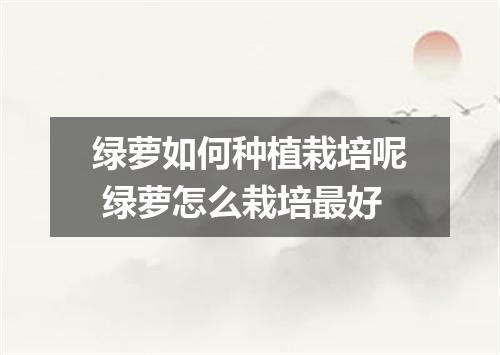绿萝如何种植栽培呢 绿萝怎么栽培最好