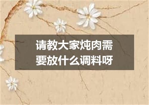 请教大家炖肉需要放什么调料呀