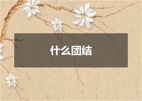 什么团结