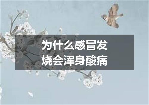 为什么感冒发烧会浑身酸痛