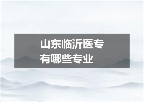 山东临沂医专有哪些专业
