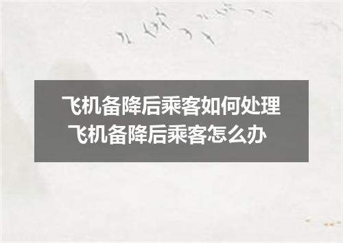 飞机备降后乘客如何处理 飞机备降后乘客怎么办