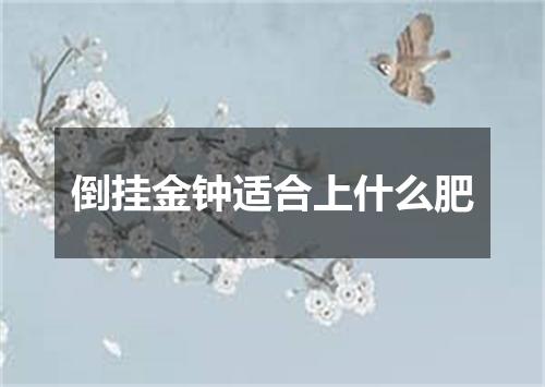 倒挂金钟适合上什么肥