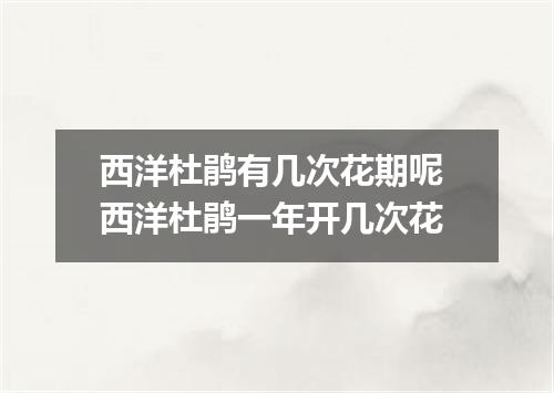 西洋杜鹃有几次花期呢 西洋杜鹃一年开几次花