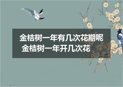 金桔树一年有几次花期呢 金桔树一年开几次花