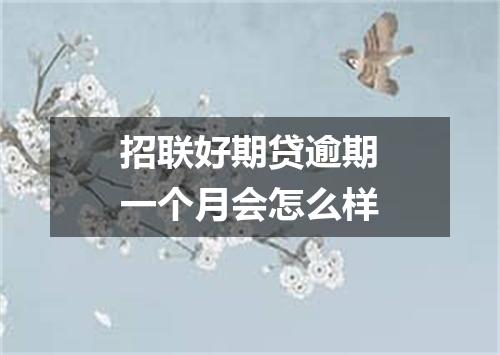 招联好期贷逾期一个月会怎么样