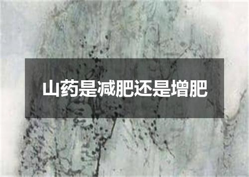 山药是减肥还是增肥