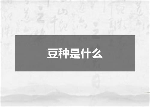 豆种是什么