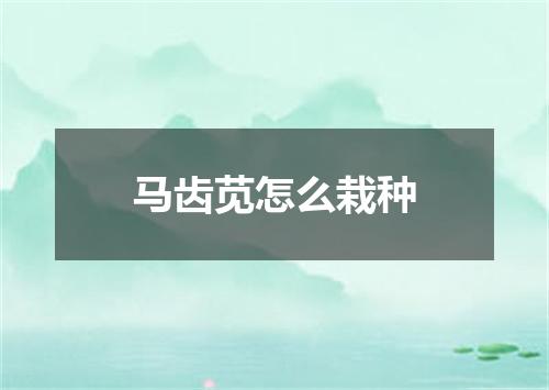 马齿苋怎么栽种