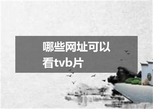 哪些网址可以看tvb片