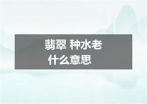翡翠 种水老 什么意思