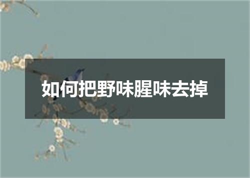 如何把野味腥味去掉