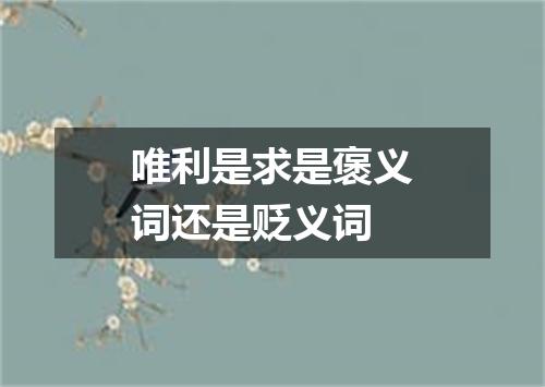 唯利是求是褒义词还是贬义词