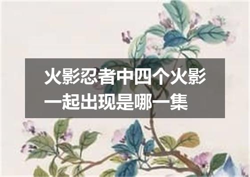 火影忍者中四个火影一起出现是哪一集