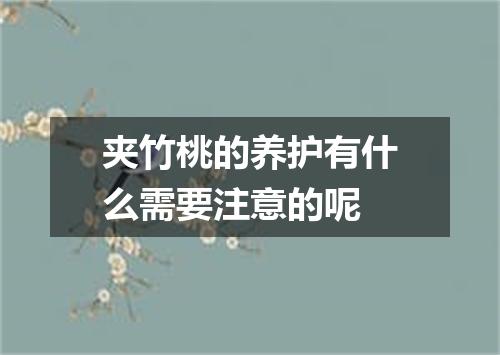 夹竹桃的养护有什么需要注意的呢