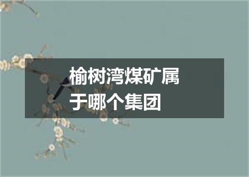 榆树湾煤矿属于哪个集团
