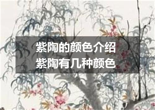 紫陶的颜色介绍 紫陶有几种颜色