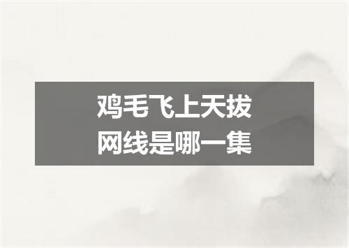 鸡毛飞上天拔网线是哪一集