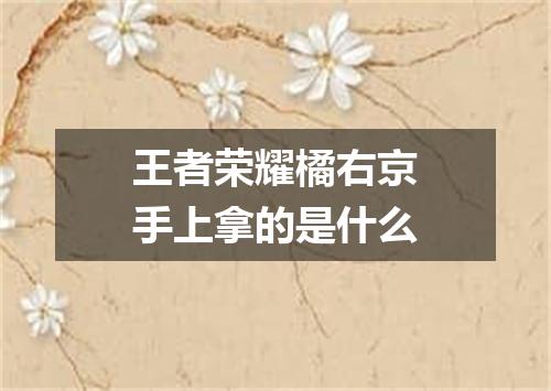 王者荣耀橘右京手上拿的是什么