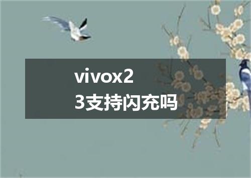 vivox23支持闪充吗