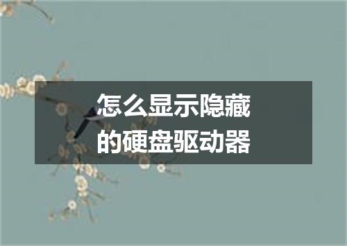 怎么显示隐藏的硬盘驱动器