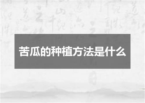 苦瓜的种植方法是什么