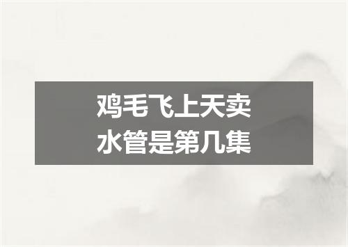 鸡毛飞上天卖水管是第几集