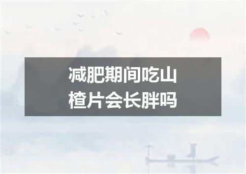 减肥期间吃山楂片会长胖吗