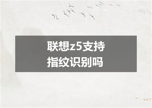 联想z5支持指纹识别吗