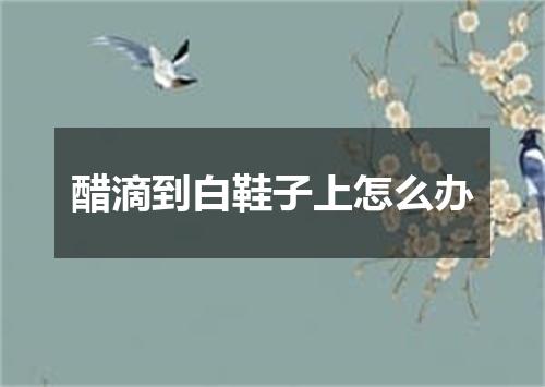 醋滴到白鞋子上怎么办