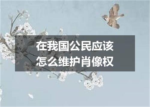 在我国公民应该怎么维护肖像权