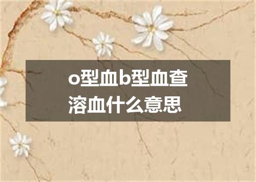 o型血b型血查溶血什么意思