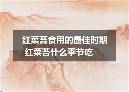 红菜苔食用的最佳时期 红菜苔什么季节吃