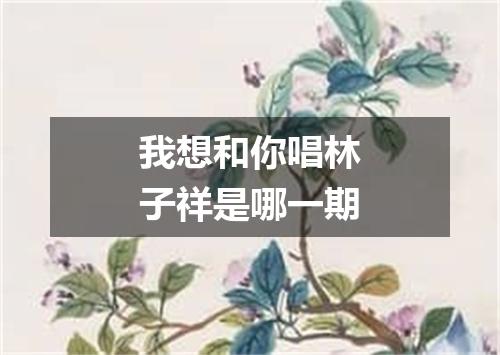 我想和你唱林子祥是哪一期