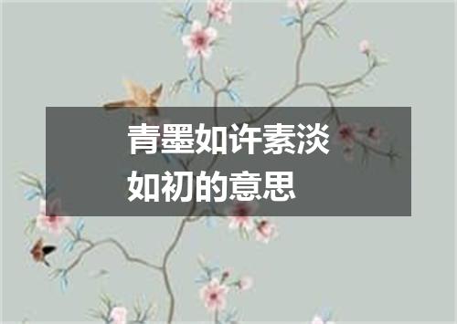 青墨如许素淡如初的意思