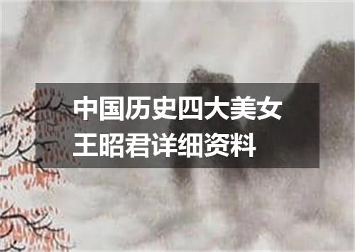 中国历史四大美女王昭君详细资料